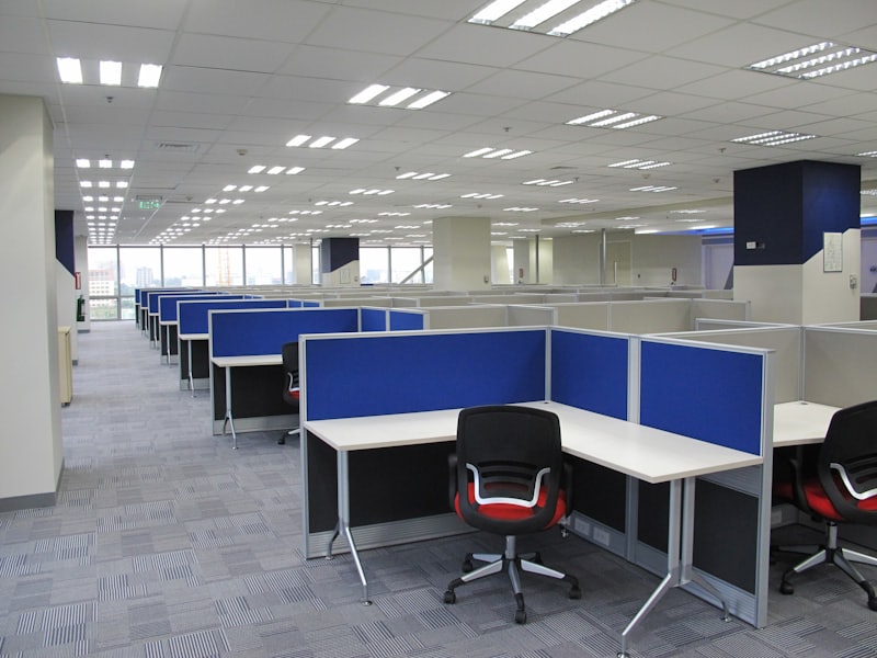 CORPSERV Projects: nuestro trabajo en detalle