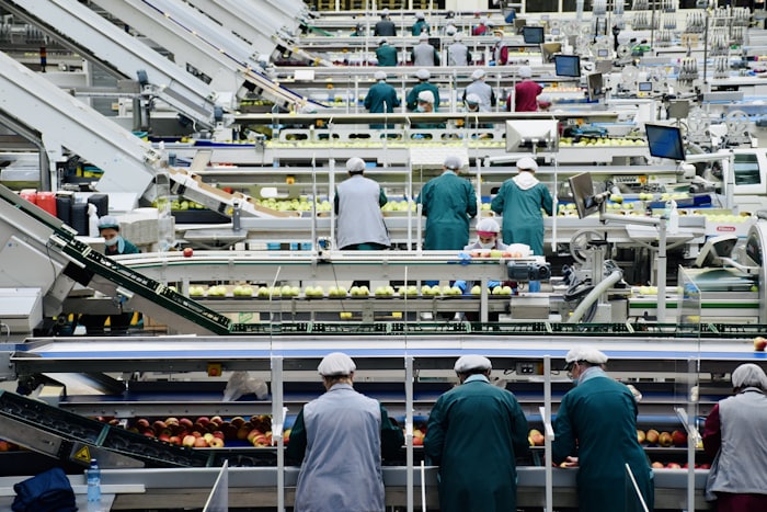 Sector industria